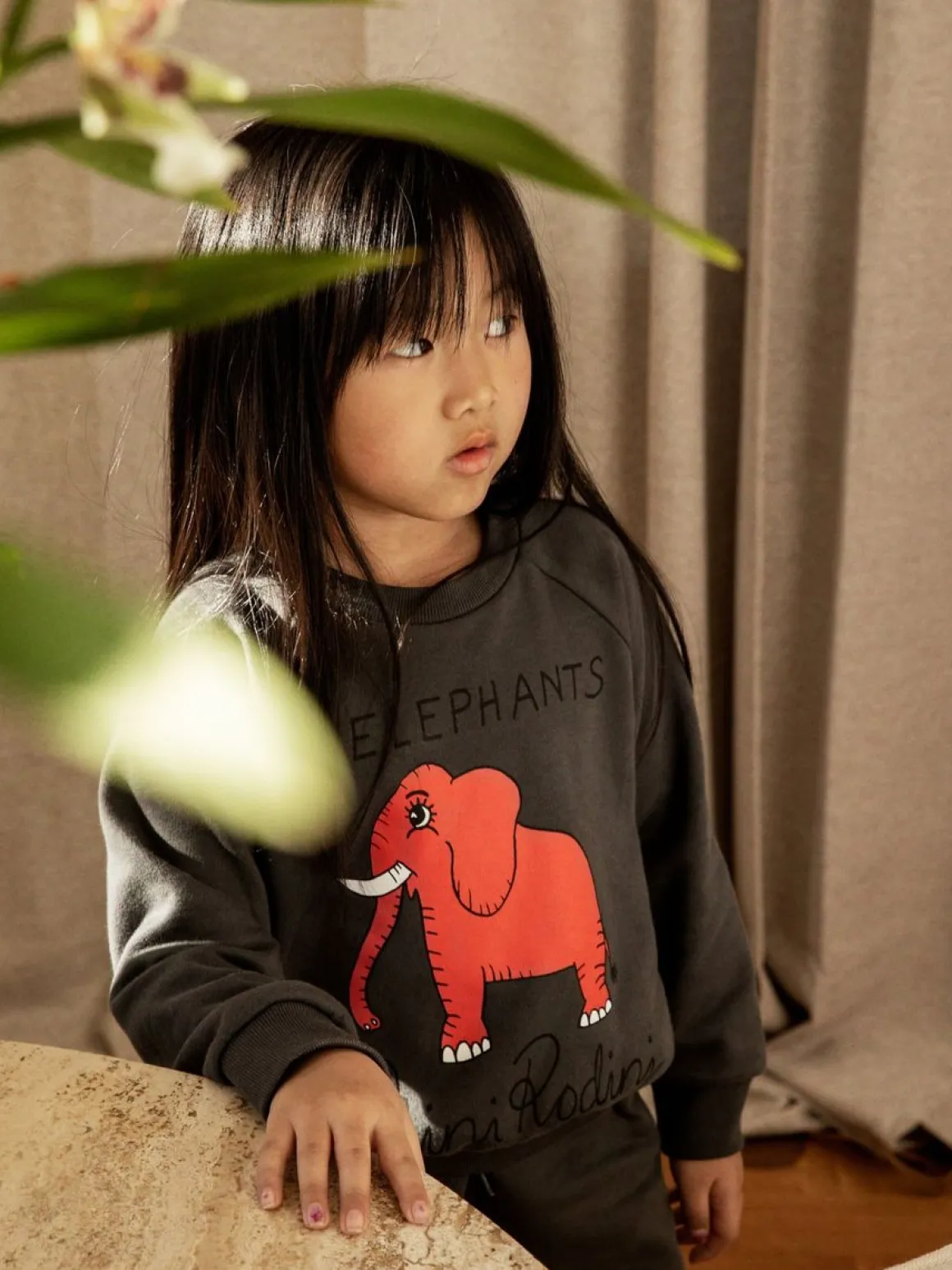 4 Elephants Sweatshirt