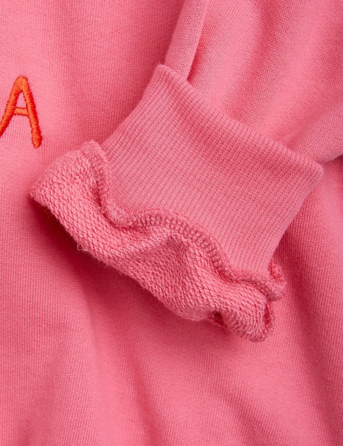 Parrot Broderad Sweatshirt